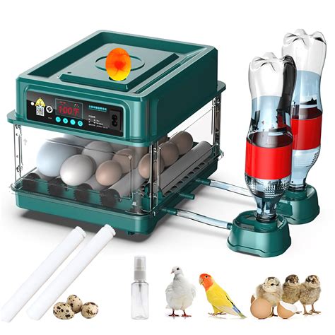 Wuye Incubators For Hatching Eggs Automatic Intelligent Incubators