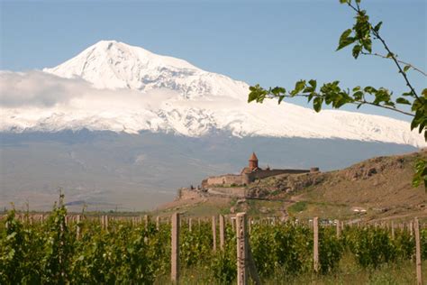 Арарат (Ararat) — MULTIBRAND.RU – модные бренды, шопинг, тенденции