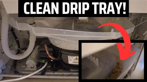 How To Clean Fridge Freezer Drip Tray When You Can T Remove Youtube