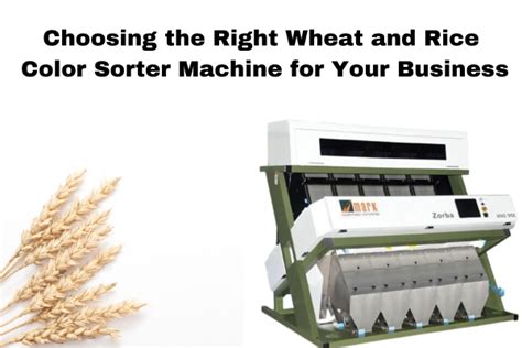 Increase Your Grain Sorting Efficiency With Wheat And Rice Color Sorter