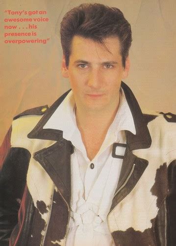 Tony Hadley - 80's music Photo (41815716) - Fanpop