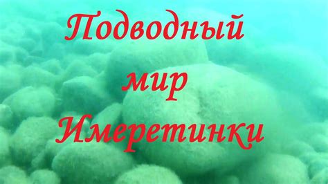 Адлер. Имеретинская низменность. Орнитологический парк. Пляжи и ...