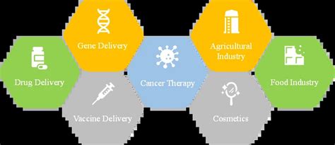 Liposome: A Novel Drug Delivery System | Blog