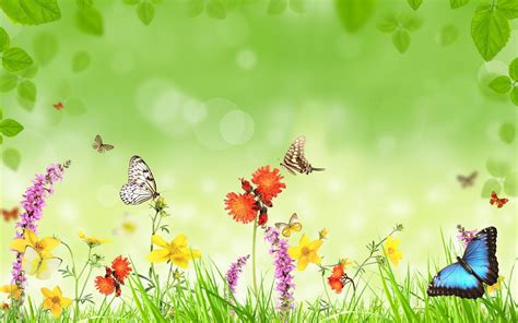 Butterfly Screensavers and Wallpapers (53+ images)