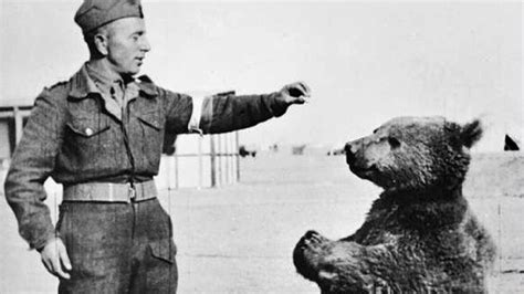 facts  wwii sky history tv channel
