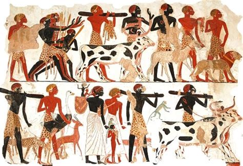 Ancient Egyptian Farming Tools History Wiki Twinkl