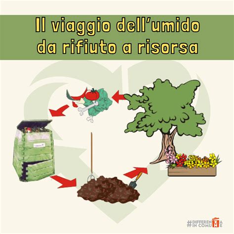 Il Viaggio Dellumido Da Rifiuto A Risorsa Differenzaincomune