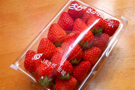 Japan Strawberries Dr Koh