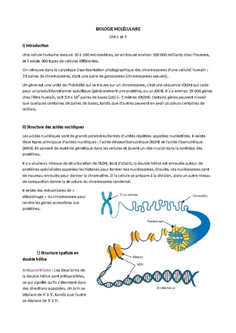 Biologie Mol Culaire Cours Biologie Mol Culaire Cm Et I