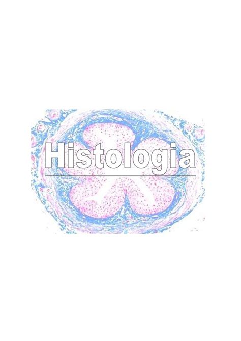 Pdf Resumos Histologia Dokumen Tips