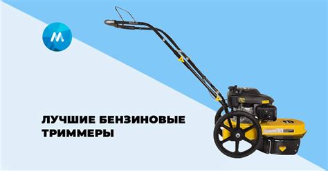 Лучшие бензиновые триммеры для травы — рейтинг лучших 2025