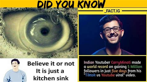 Did You Know Facts Interesting Facts Everyone Should Know Part 3