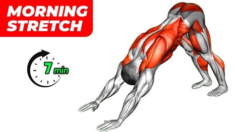 Do These 7 Min Stretching Exercises Every Morning Youtube