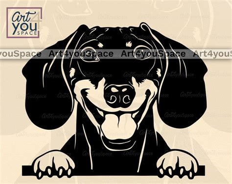 Dachshund Svg Doxie Svg Dog Svg Cricut Funny Dachsh Peeking Etsy