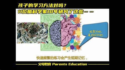 解读《认知天性：让学习轻而易举的心理学规律》 Youtube