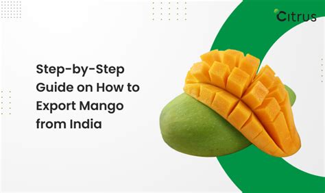 How to Export Mango From India - Citrus Freight