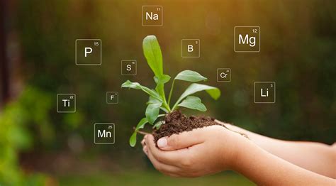 Fertilizer Nutrient Information - Dr Earth