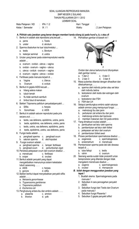 Soal Ulangan Sistem Reproduksi Manusia Kelas 9 Kunci Dunia