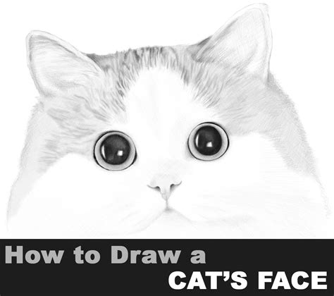 How To Draw A Cats Face Realistic Portrait Step By Step Drawing