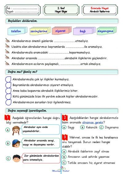 S N F Hayat Bilgisi Evimizde Hayat