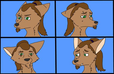 expressions : r/furry