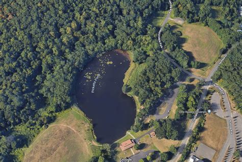 Police Investigating Report Of Man Hit With Dart In State Park | Valley