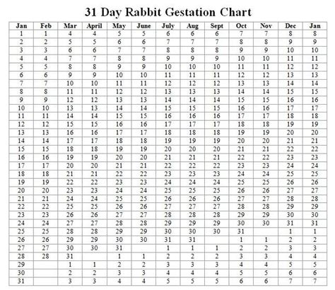 Rabbitry Rabbit Gestation Chart Calculator/Cheat by EdelweissRanch