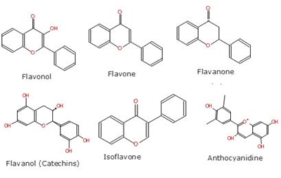 Kimia Bahan Alam KERAGAMAN DAN KEUNIKAN STRUKTUR KIMIA FLAVONOID