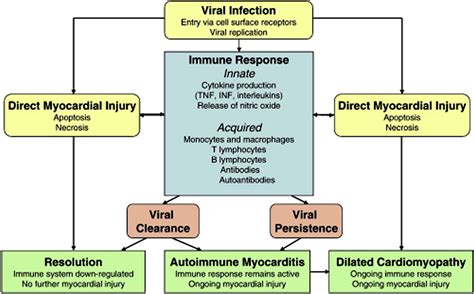 Fulminant Myocarditis Critical Care Clinics