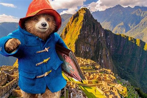 Picture Of Paddington In Peru