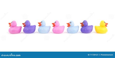 Rubber Ducks In A Row With One Headed To Opposite Directio Stock Image