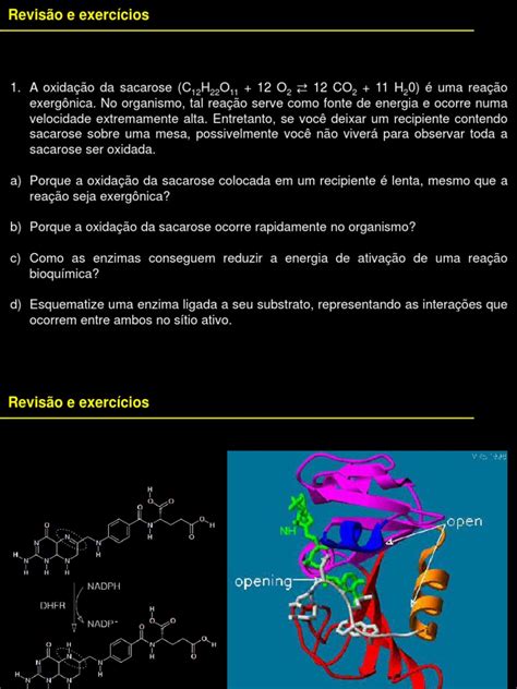 Exercícios Sobre Enzimas - Exercícios sobre Enzimas e Reações Bioquímicas | PDF | Enzima | Reações ...