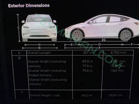 Tesla Model Y exact dimensions leaked - MSPoweruser