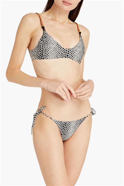 Vix Paula Hermanny Printed Low Rise Bikini Briefs The Outnet