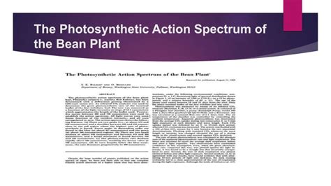 Absorption And Action Spectrum Ppt Free Download