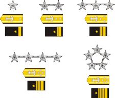 US Navy Admiral Rank Insignia