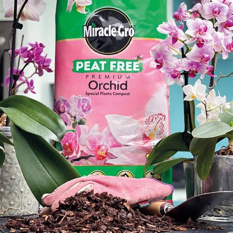 Miracle Gro Orchid Compost 6 Litre Goldcliff Garden Centre