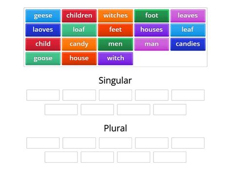 Singular And Plural Nouns Group Sort