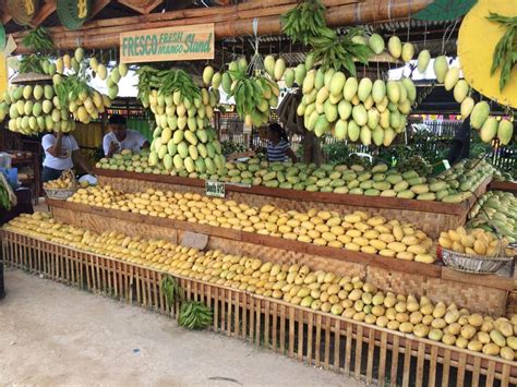 Guimaras Philippines Mango Festival All You Can Eat For Under 2