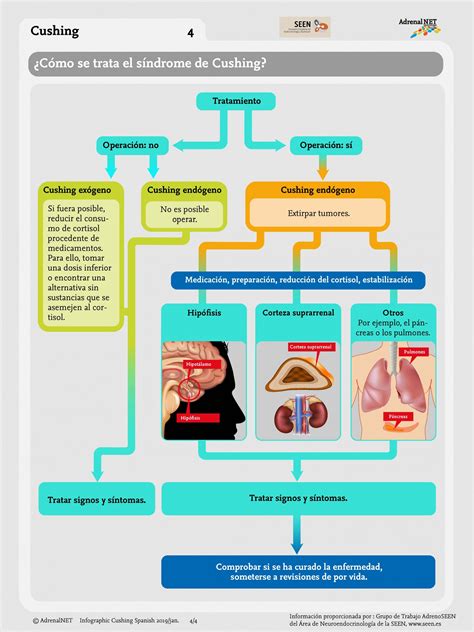 Infografía del síndrome de Cushing - Adrenals.eu