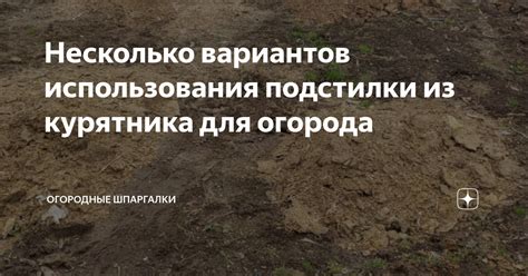 Несколько вариантов использования подстилки из курятника для огорода ...