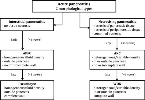 Acute Pancreatitis International Classification And Nomenclature