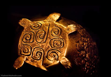 Золотая Черепаха: medvedevphoto — LiveJournal
