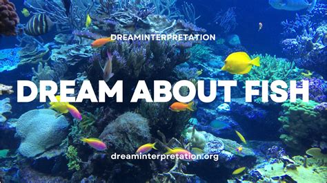 Dream About Fish Interpretation Spiritual Meaning