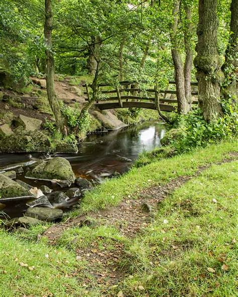 Padley Gorge - All Things Peak District