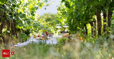 Genießen im Grünen Picknickkörbe in der Steiermark Wo es beste