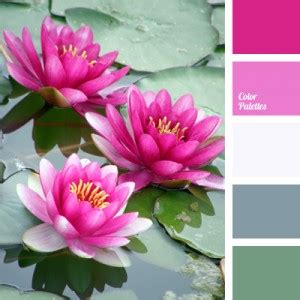 water lily colors | Color Palette Ideas