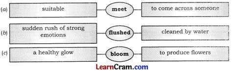 Dav Class 8 English Literature Book Solutions Chapter 11 Bangle Sellers Learn Cram