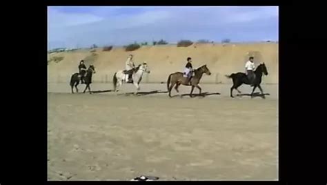 Sirena Lewis 2024 Free Porn Star Videos XHamster