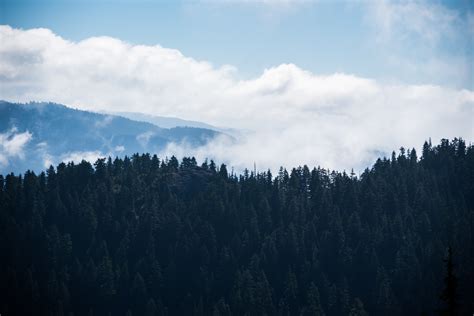 Free Images Landscape Tree Nature Forest Wilderness Cloud Sky